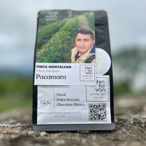 Pacamara Lavado